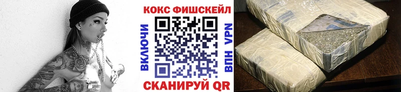 Cocaine Fish Scale где купить наркоту Нелидово