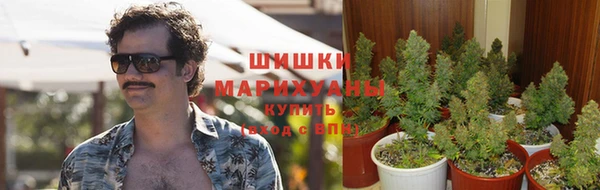 a pvp Магадан