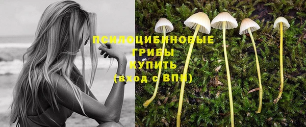 дмт Майский