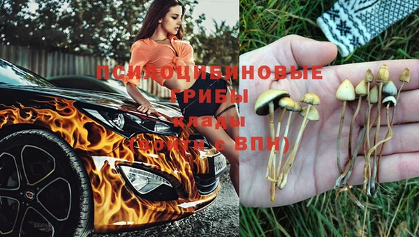 герыч Магас