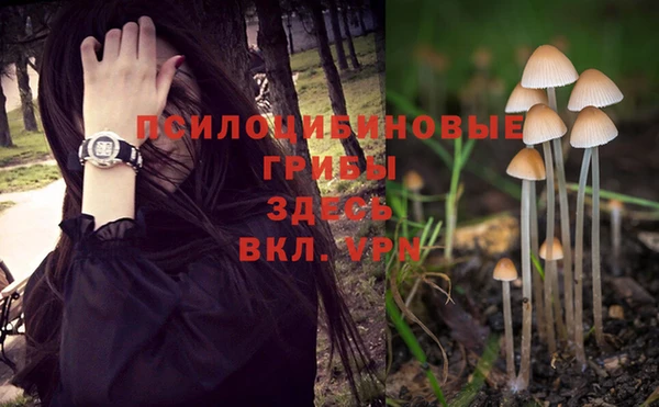 дмт Майский