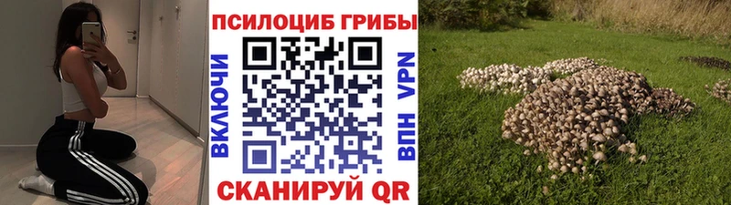 где можно купить наркотик Нелидово shop какой сайт Галлюциногенные грибы мицелий